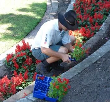 Sabareni / Giurgiu - Amenajari peisagistice complete