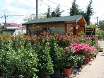 Sabareni / Giurgiu - Amenajari peisagistice complete