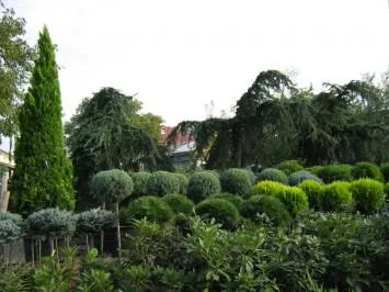 Sabareni / Giurgiu - Amenajari peisagistice complete