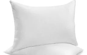 Spalatorie - curatatorie - igienizare si curatenie Ilfov