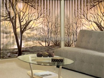 Sisteme umbrire Cluj