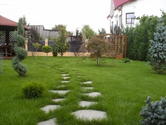 Spatii verzi Prahova