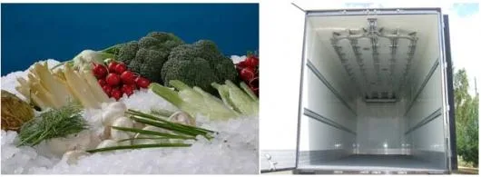 Transport rutier de marfuri intern si international - Sfantu -Gheorghe / Covasna