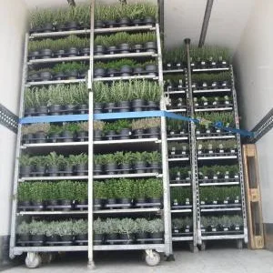 Transport rutier de marfuri intern si international - Sfantu -Gheorghe / Covasna