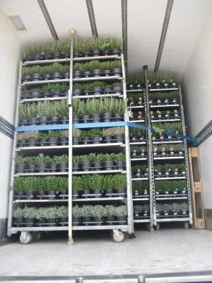 Transport rutier de marfuri intern si international - Sfantu -Gheorghe / Covasna