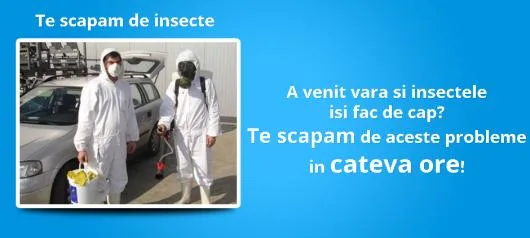 Curatenie profesionala Bacau