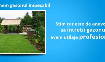 Curatenie profesionala Bacau