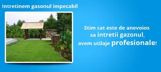Curatenie profesionala Bacau