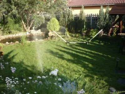 UPG System 2005 Servicii profesionale de gradinarit Timisoara