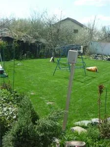 UPG System 2005 Servicii profesionale de gradinarit Timisoara