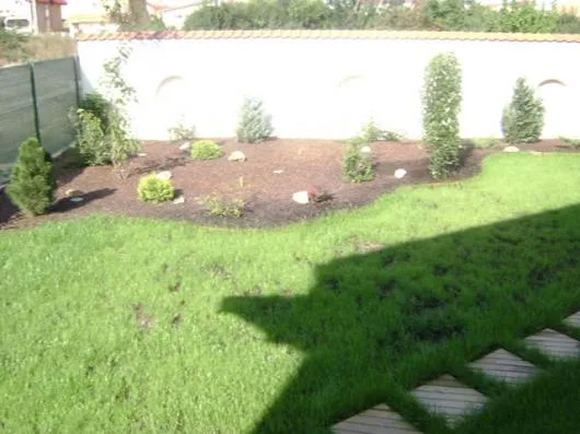 UPG System 2005 Servicii profesionale de gradinarit Timisoara