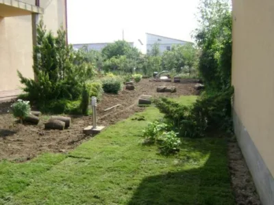 UPG System 2005 Servicii profesionale de gradinarit Timisoara