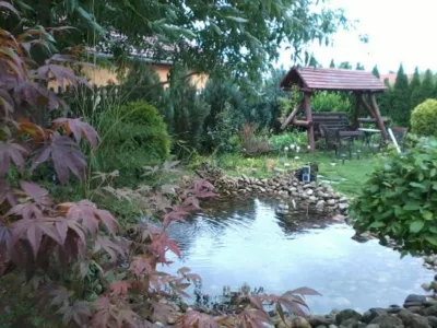 UPG System 2005 Servicii profesionale de gradinarit Timisoara