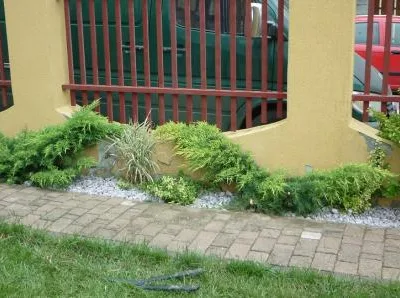 UPG System 2005 Servicii profesionale de gradinarit Timisoara