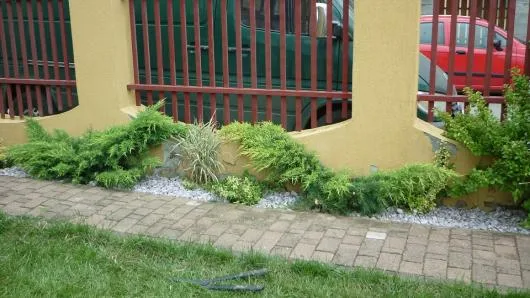 UPG System 2005 Servicii profesionale de gradinarit Timisoara