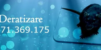 Deratizare - dezinsectie si dezinfectie Bucuresti