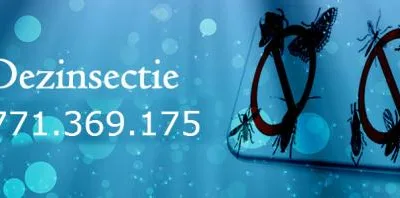 Deratizare - dezinsectie si dezinfectie Bucuresti