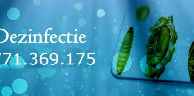 Deratizare - dezinsectie si dezinfectie Bucuresti