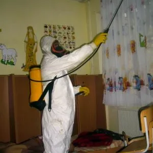 Deratizare - dezinfectie Botosani