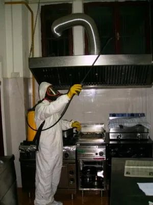 Deratizare - dezinfectie Botosani