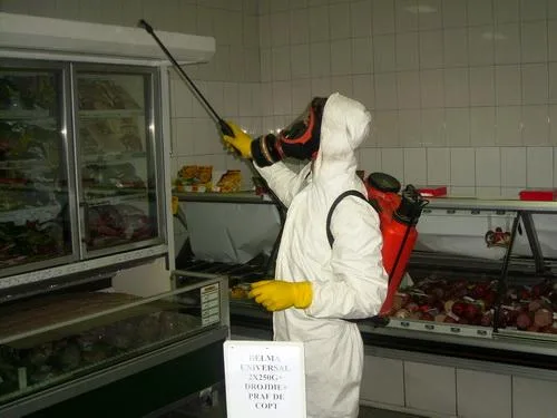 Deratizare - dezinfectie Botosani