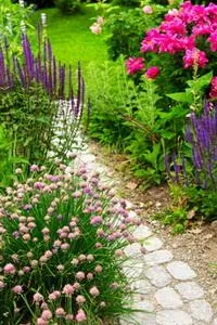 Deratizare - dezinfectie Botosani