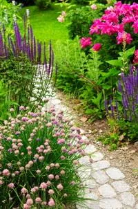 Deratizare - dezinfectie Botosani