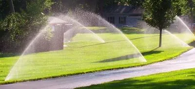 Deratizare - dezinfectie Botosani