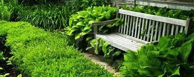 Deratizare - dezinfectie Botosani