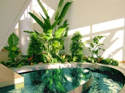 Amenajari - plantari