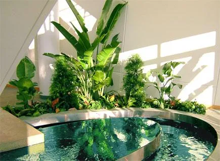 Amenajari - plantari