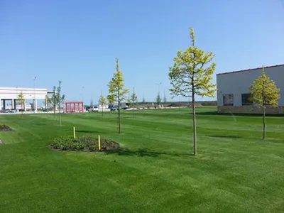 Sports Fields - Proiectare - amenajare - spatii verzi