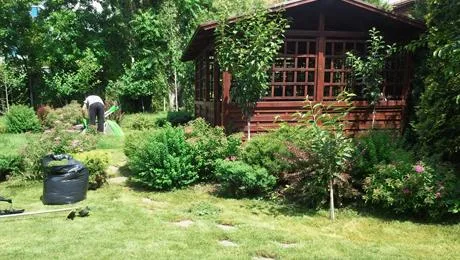 Sports Fields - Proiectare - amenajare - spatii verzi