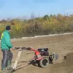 Pitesti - Amenajare si intretinere gradini