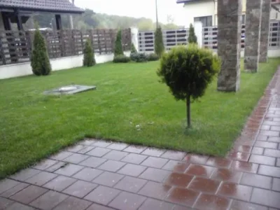 Pitesti - Amenajare si intretinere gradini