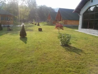 Pitesti - Amenajare si intretinere gradini