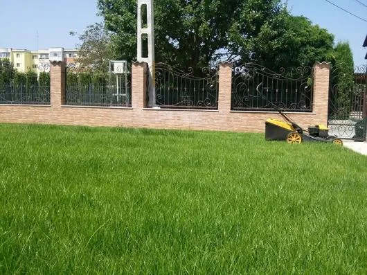 Pitesti - Amenajare si intretinere gradini