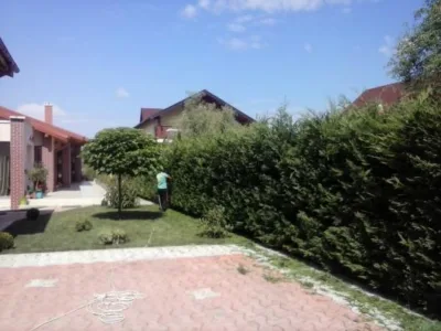 Pitesti - Amenajare si intretinere gradini