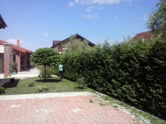 Pitesti - Amenajare si intretinere gradini