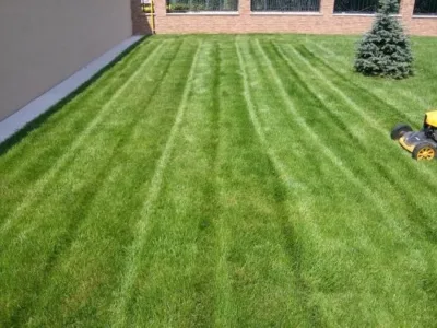 Pitesti - Amenajare si intretinere gradini