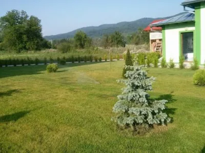 Pitesti - Amenajare si intretinere gradini