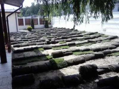 Pitesti - Amenajare si intretinere gradini