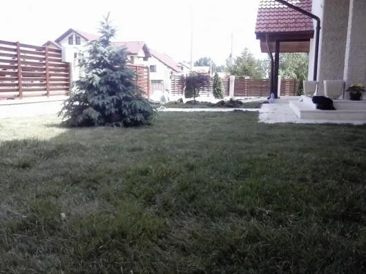 Pitesti - Amenajare si intretinere gradini