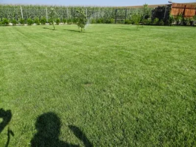 Peisagistica si intretinere completa a gradinilor Sibiu