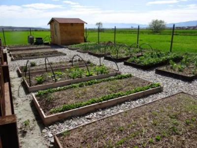 Peisagistica si intretinere completa a gradinilor Sibiu