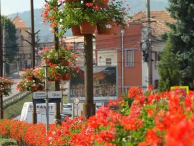 Alba Iulia - Arhitectura peisagera - ingrijire gradini