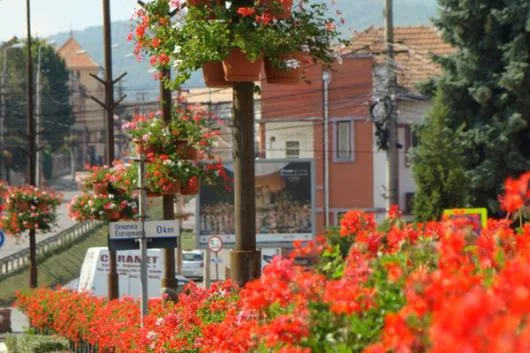Alba Iulia - Arhitectura peisagera - ingrijire gradini