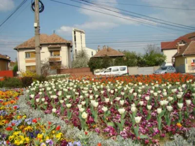 Alba Iulia - Arhitectura peisagera - ingrijire gradini