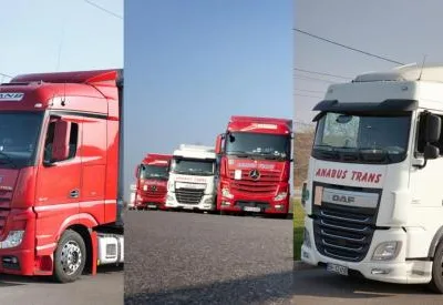 Transport intern si international de marfa - Oradea