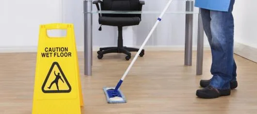 Geo Sil Clean Servicii profesionale de curatenie Bistrita